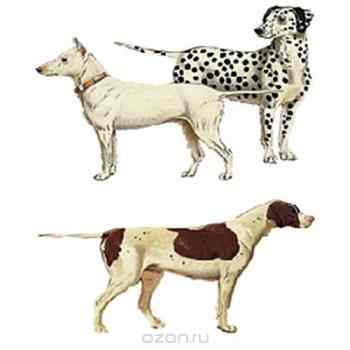 Трансфер универсальный "Собаки", 12 х 17 см CD-801