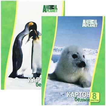 Набор белого мелованного картона  ACTION!  ANIMAL PLANET, ф. А4, 8 листов, 2 шт в упаковке, 2 дизайна, (ACTION!)