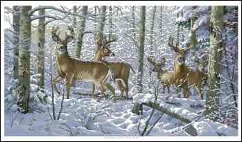 Набор для вышивания Dimensions "Зима в лесу", 45 см х 25 см