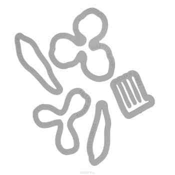Форма для вырубки Sizzix "Цветок. Кливиа", 5 шт