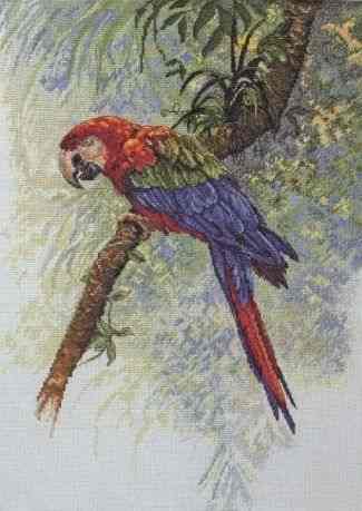Набор для вышивания Maia "Parrot" /Попугай/ 40*28,5см (состав: канва Aida 16, цветная схема, нитки Anchor, игла, инструкция), счетный крест