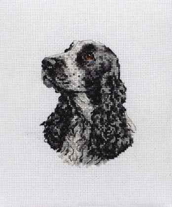 Набор для вышивания крестом Anchor "Cocker Spaniel", 11 х 8 см