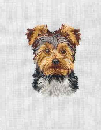 Набор для вышивания крестом Anchor "Yorkshire Terrier", 11 х 8 см