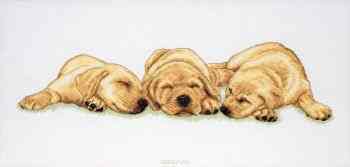 Набор для вышивания крестом Anchor "Sleeping Labradors", 18 х 47 см