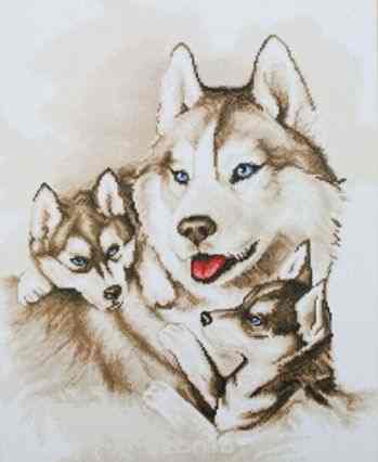 Набор для вышивания крестом Expressions needlework kits "Хаски", 31 х 39 см