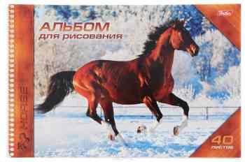 Hatber Альбом для рисования Horses 40 листов 11265