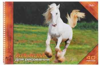Hatber Альбом для рисования Horses 40 листов 11020
