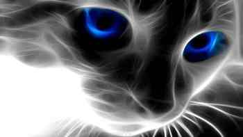 Набор для изготовления картины со стразами Алмазная Живопись "Кошачий взгляд", 30 х 40 см