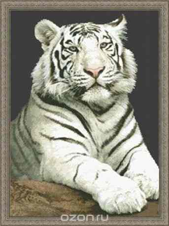 Набор для вышивания Kustomkrafts "Пристальный взгляд (Белый тигр)", 36 см х 49 см. 20217