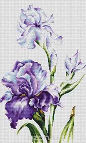 Набор для вышивания Luca-S "Ирисы", 24 см х 38 см