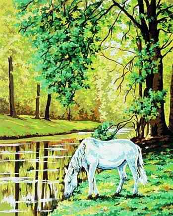 Канва с нанесенным рисунком "Collection D'Art", 50 х 40 см. 11384