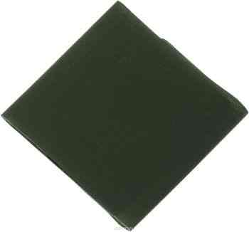 Термозаплатка "Hemline", цвет: хаки, 24 х 9 см