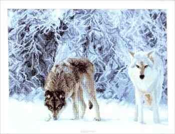 Набор для вышивания крестом Чаривна Мить "Сквозь чащу", 39 х 28,5 см