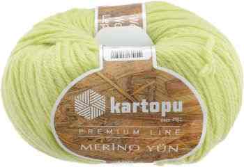 Пряжа для вязания Kartopu "Merino Yun", цвет: фисташковый (K366), 170 м, 100 г, 5 шт