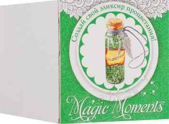 Magic Moments Набор для создания украшений Создай эликсир процветания