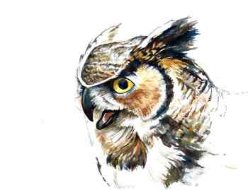 Набор для создания картины со стразами Цветной "Филин", 30 х 40 см. LE016