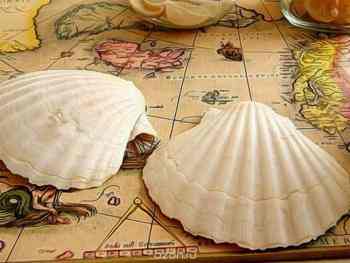 Набор для изготовления картины со стразами Алмазная Живопись "Ракушки на карте", 40 х 30 см