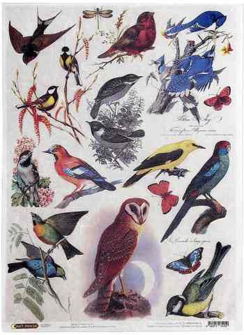 Рисовая бумага для декупажа Craft Premier "Птички", 28,2 х 38,4 см