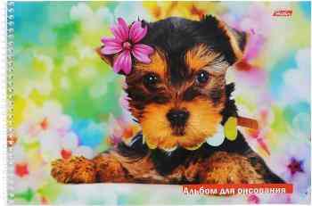 Альбом для рисования Hatber "Зверье мое. Щенки", 32 листа. 32А4Bсп_08422