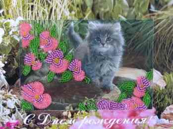 Набор для вышивания BUTTERFLY 725 Котенок Ср