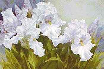 Набор для вышивания 10208 "Ирисы"