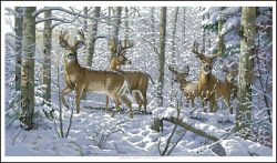 Набор для вышивания Dimensions "Зима в лесу", 45 см х 25 см