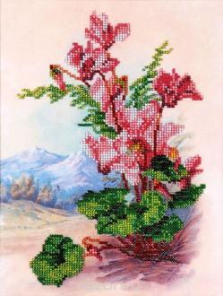 Канва с рисунком для вышивания бисером Hobby & Pro "Цикломены", 20 см х 27 см