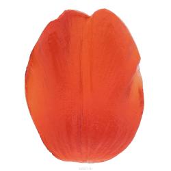 Молд для создания украшений из полимерной глины Fleur "Фактура цветка тюльпана 2", цвет: красный