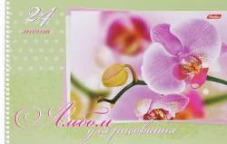Hatber Альбом для рисования Нежность 24 листа цвет салатовый