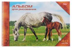 Hatber Альбом для рисования Horses 40 листов 10331