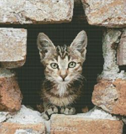 Набор для вышивания Kustomkrafts "Котенок", 27,2 см х 29 см. 20347