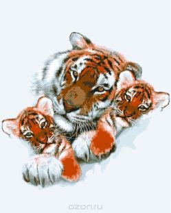 Канва с нанесенным рисунком "Collection D'Art", 50 х 40 см. 11856