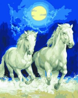 Канва с нанесенным рисунком "Collection D'Art", 50 х 40 см. 11857