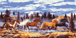 Канва с нанесенным рисунком "Collection D'Art", 45 х 100 см. 13982
