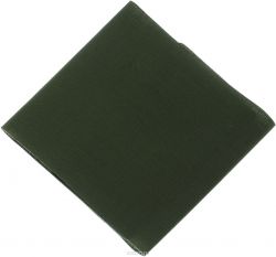 Термозаплатка "Hemline", цвет: хаки, 24 х 9 см