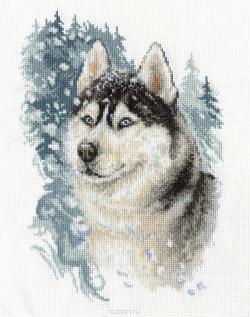 Набор для вышивания крестом Panna "Верный хаски", 22,5 x 30 см