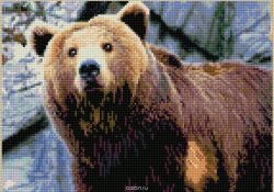 Набор для создания картины со стразами Цветной "Алмазная мозаика. Медведь", 30 x 40 см