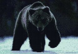 Набор для создания картины со стразами Цветной "Алмазная мозаика. Бурый медведь", 30 x 40 см