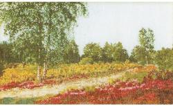 Набор для вышивания крестом Thea Gouverneur "Вереск", 20 х 33 см. 1051A