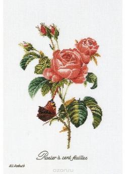 Набор для вышивания крестом Thea Gouverneur "Французская роза", 26 х 38 см. 2030