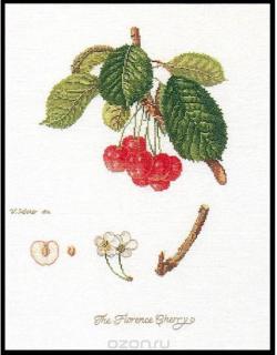 Набор для вышивания крестом Thea Gouverneur "Флоренция. Вишни", 26 х 35 см. 2058