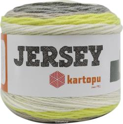 Пряжа для вязания Kartopu "Jersey", цвет: мультиколор (КН1395), 360 м, 200 г, 3 шт