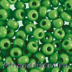 Бисер Preciosa NO 10/0 цв 53210 Light Green светло зеленый